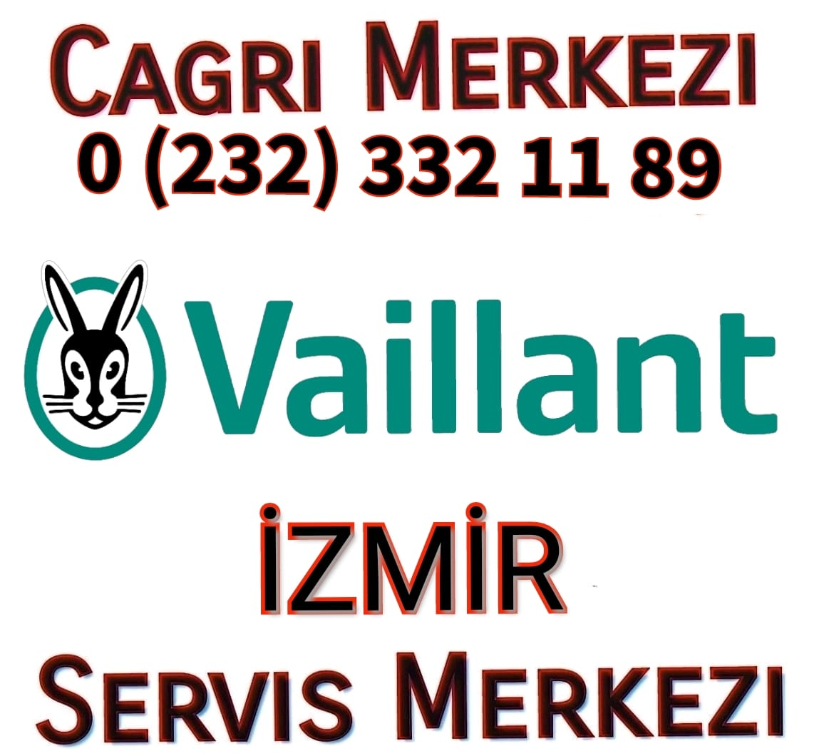 İzmir Bornova Vaillant Kombi Klima Servisi